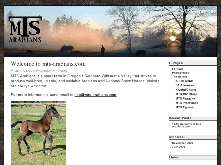 www.mts-arabians.com