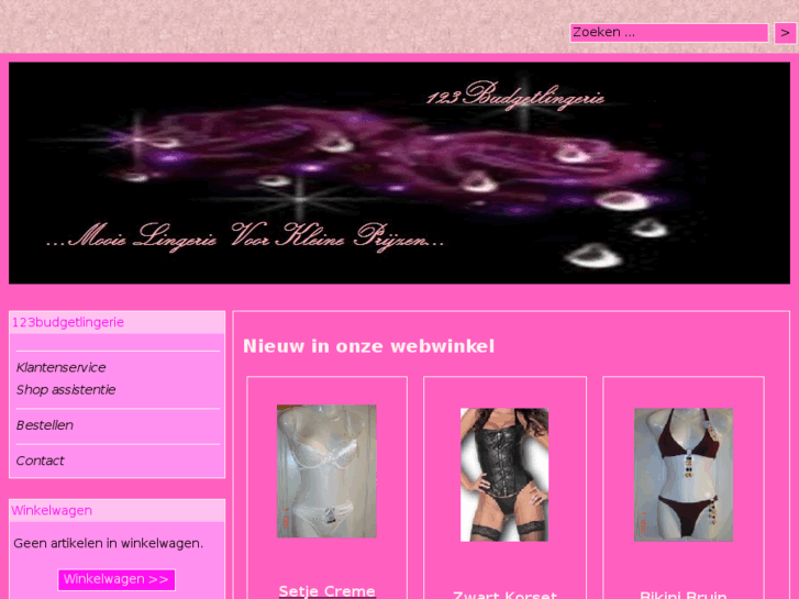 www.123budgetlingerie.com