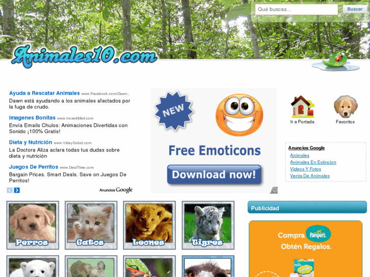 www.animales10.com