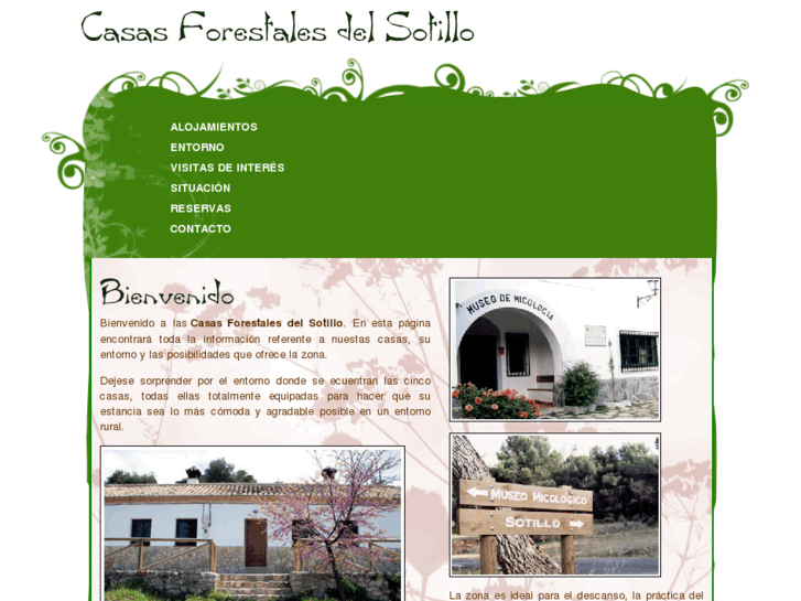www.casasforestalesdelsotillo.com