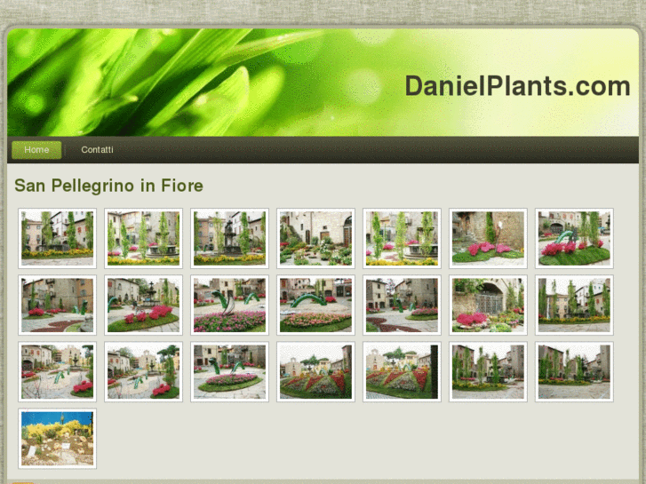www.danielplants.com