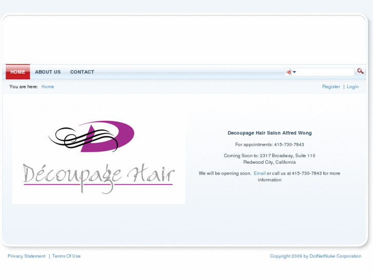 www.decoupagehair.com