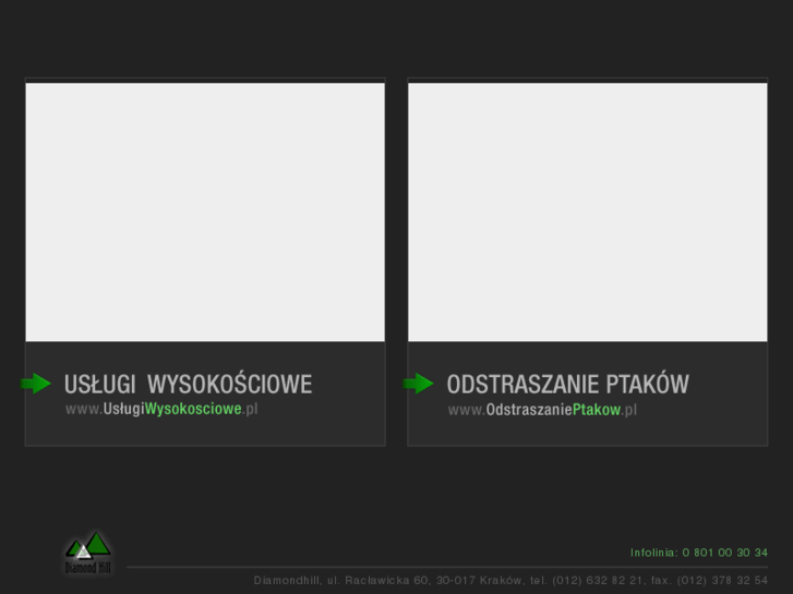 www.diamondhill.pl