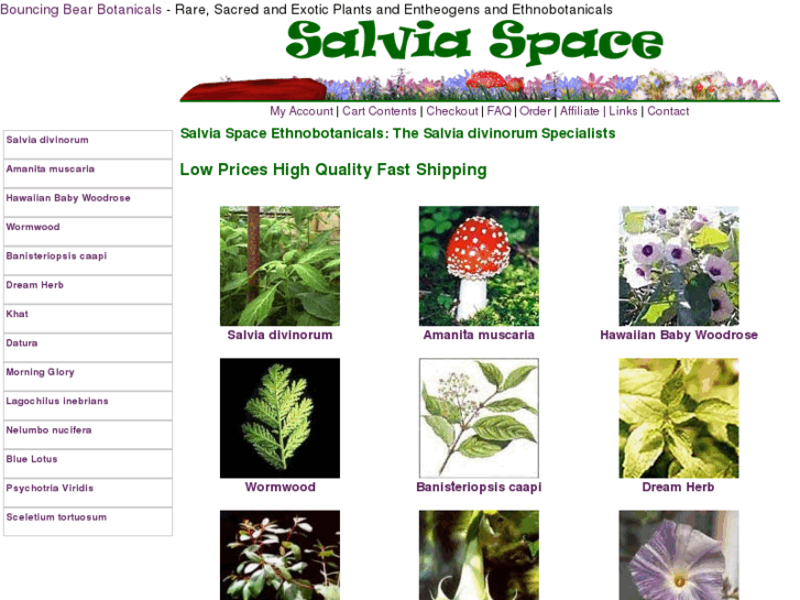 www.salviaspace.com