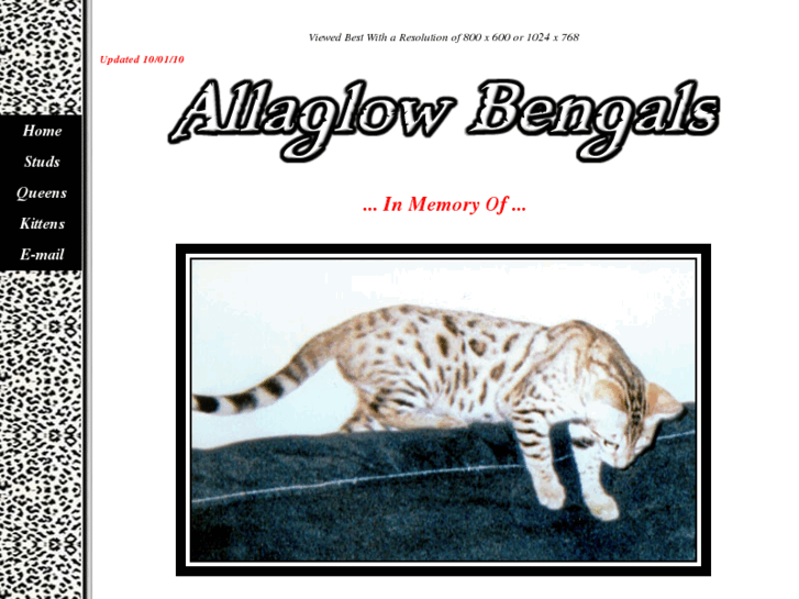 www.allaglowbengals.com