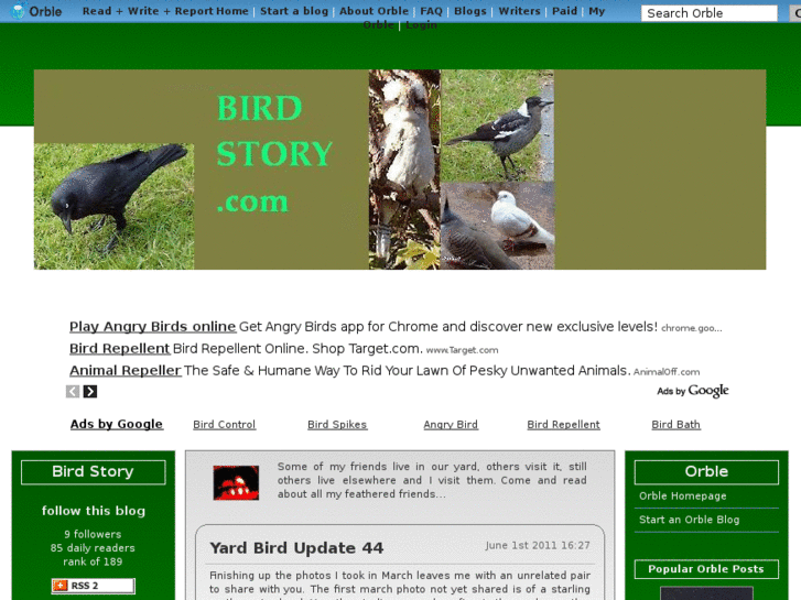 www.birdstory.com