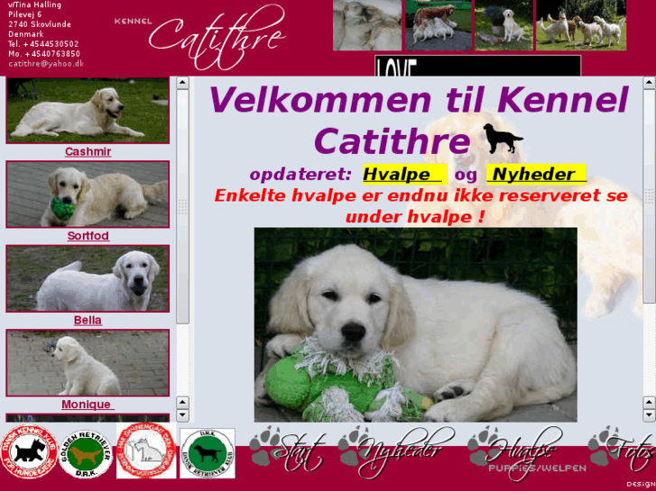 www.catithre.dk