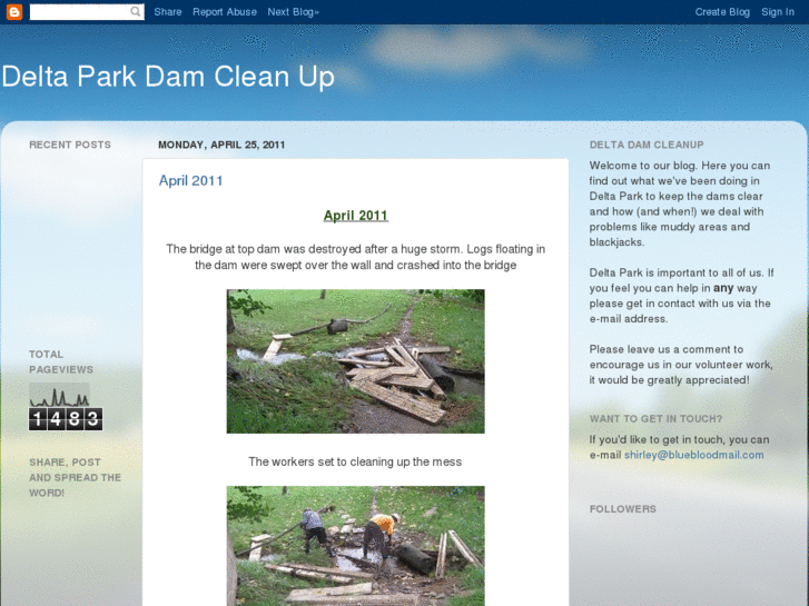 www.deltadamcleanup.com