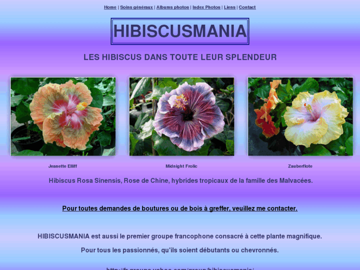 www.hibiscusmania.com