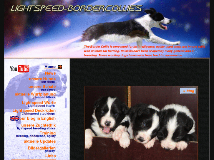 www.lightspeed-bordercollies.at