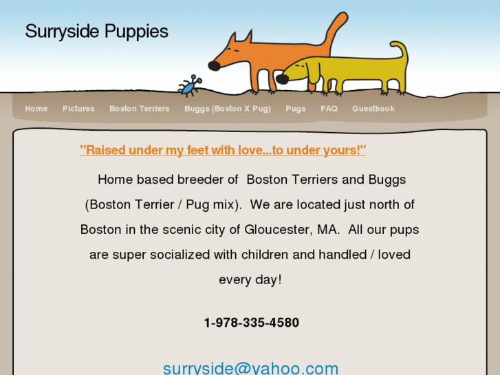 www.surrysidepuppies.com