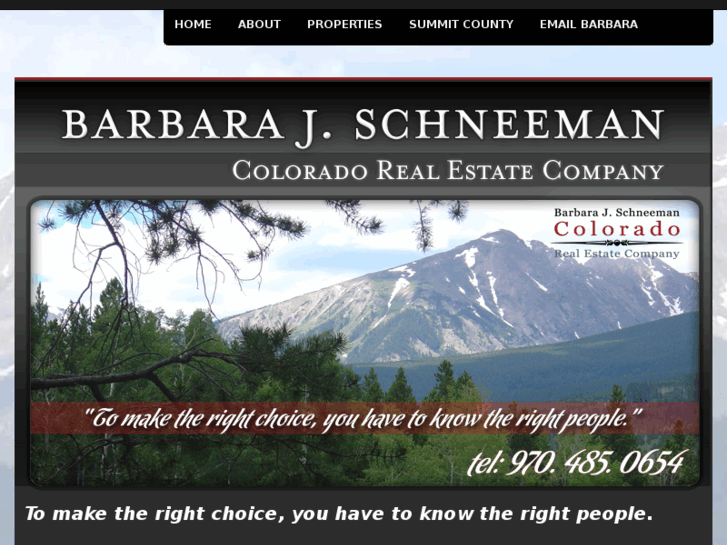 www.barbaraschneeman.com