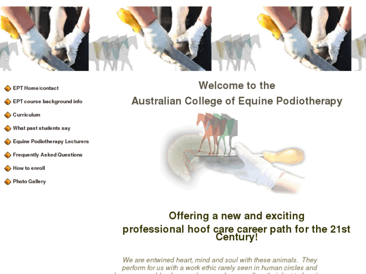 www.equinepodiotherapy.com.au