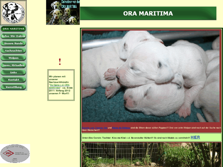 www.ora-maritima.com