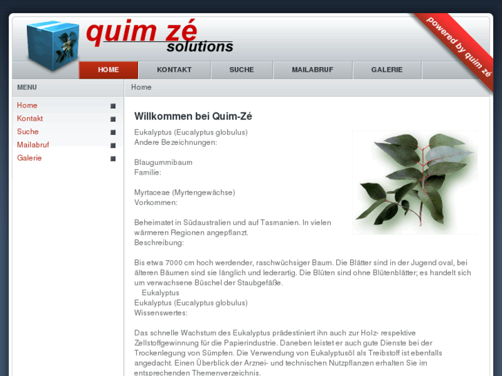 www.quim-ze.com