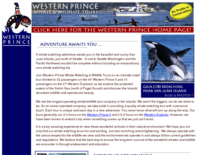 www.seattlewhalewatching.com