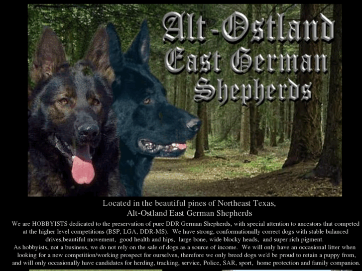 www.ddr-k9.com