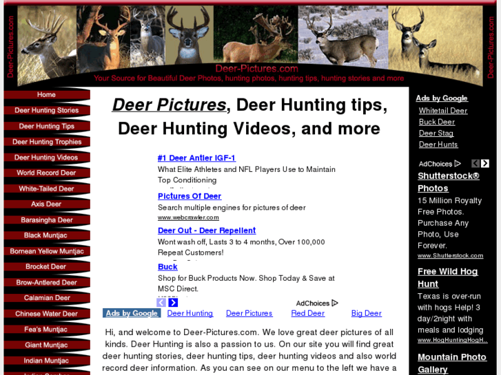 www.deer-pictures.com