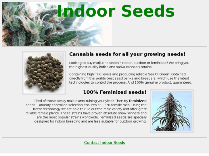 www.indoorseeds.com