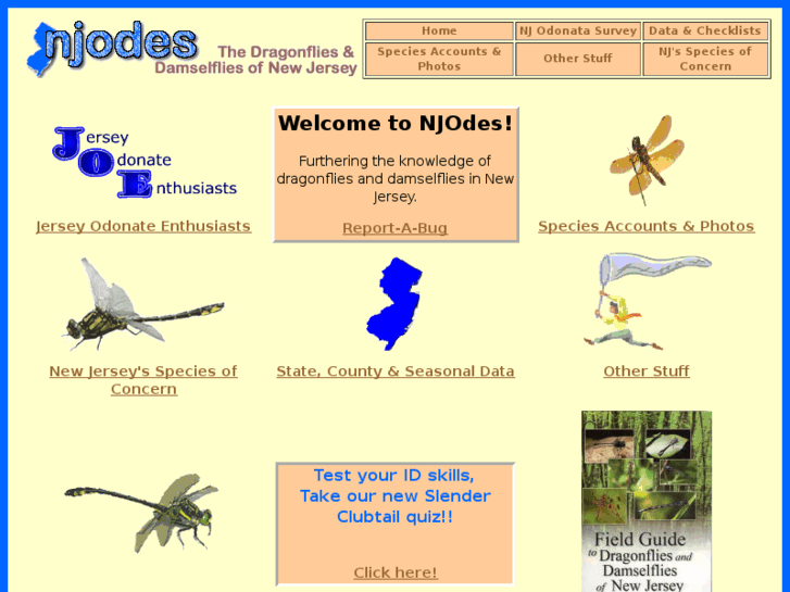 www.njodes.com