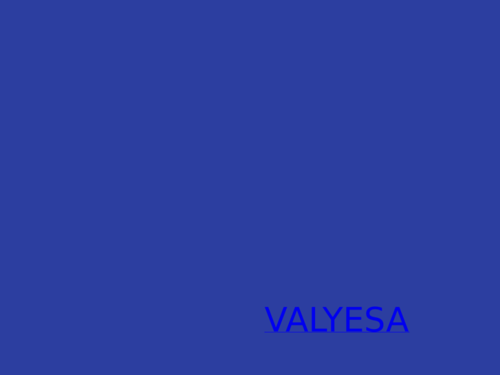 www.valyesa.com