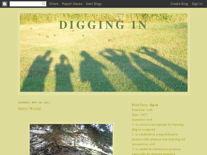 www.diggingin.org