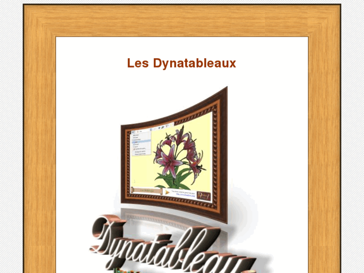 www.dynatableau.com