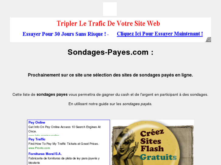 www.sondages-payes.com