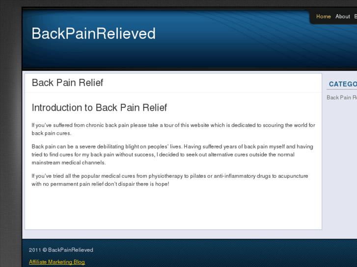 www.backpainrelieved.com