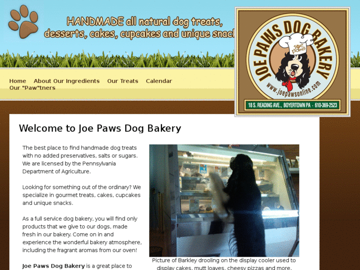 www.joepawsonline.com