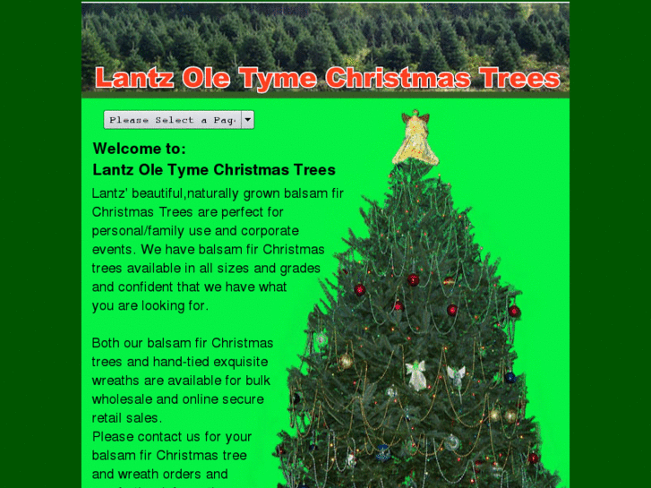 www.lantzchristmastrees.com