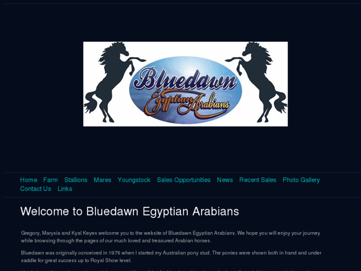 www.bluedawnarabians.com