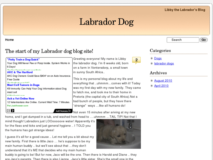 www.labradordogsite.com