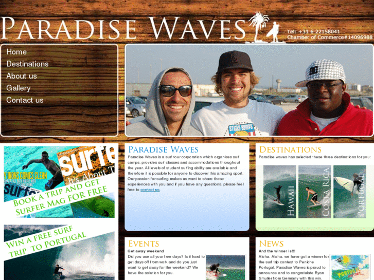 www.paradisewaves.com