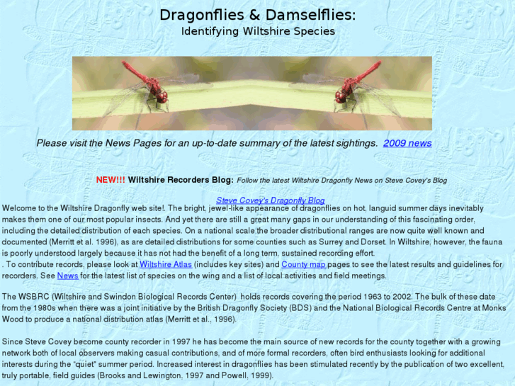 www.wiltshiredragonflies.org