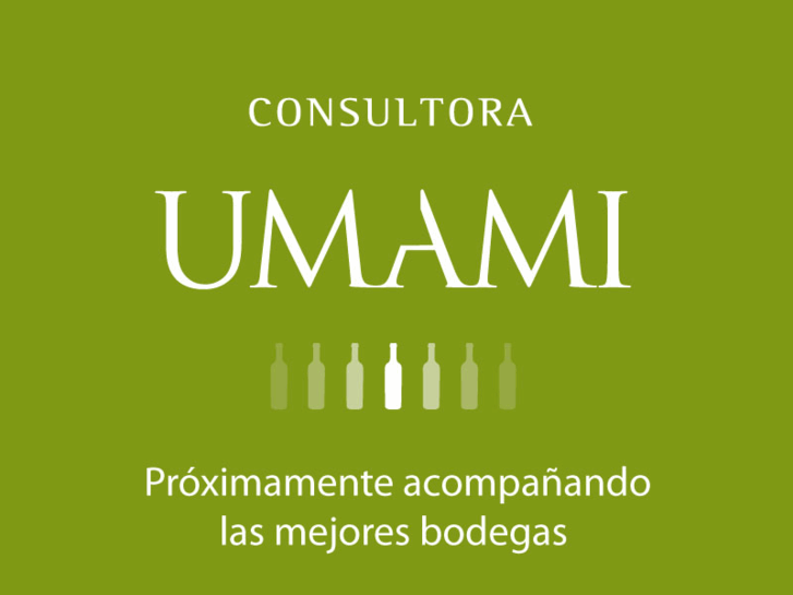 www.consultoraumami.com