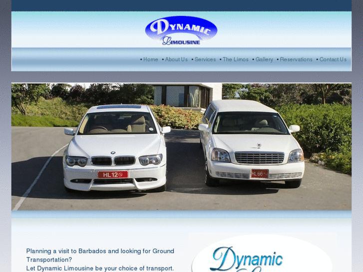 www.dynamiclimousines.com