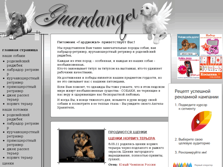 www.guardangel.ru