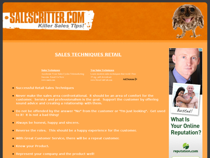 www.salescritter.com