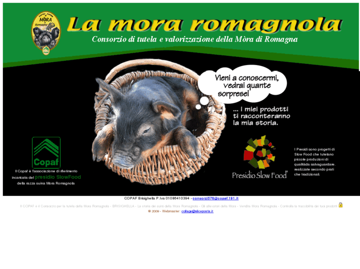 www.consorziomoraromagnola.it