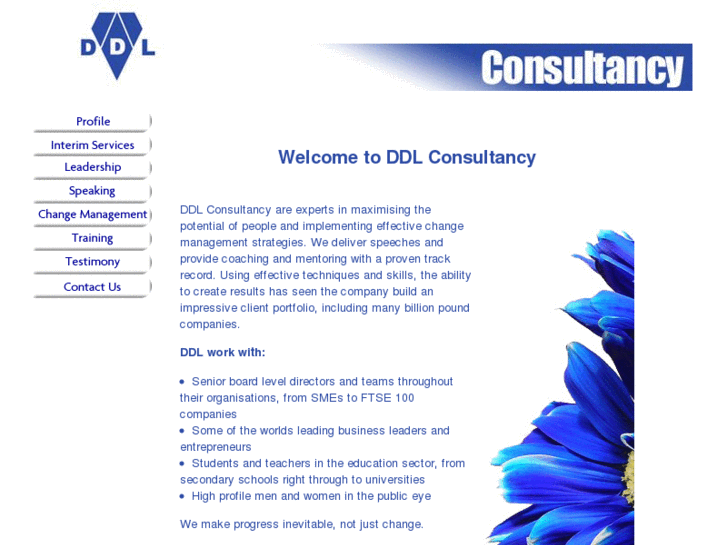 www.ddl-consultancy.com