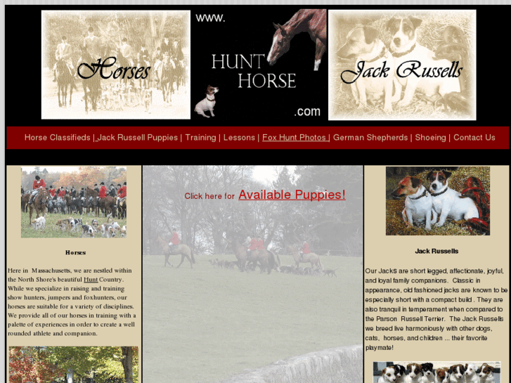 www.hunthorse.com