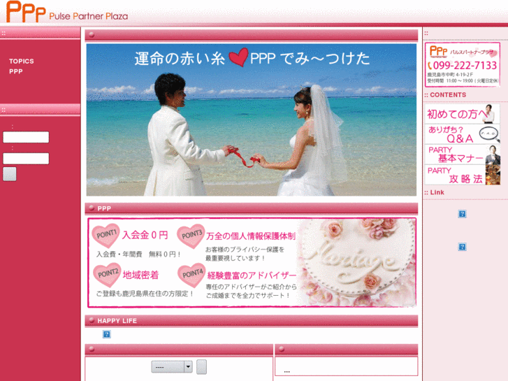 www.pulse-pp.com