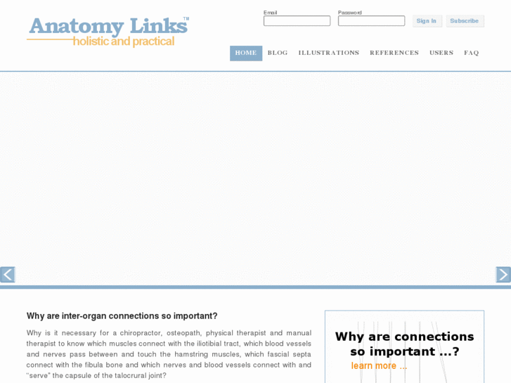 www.anatomylinks.com