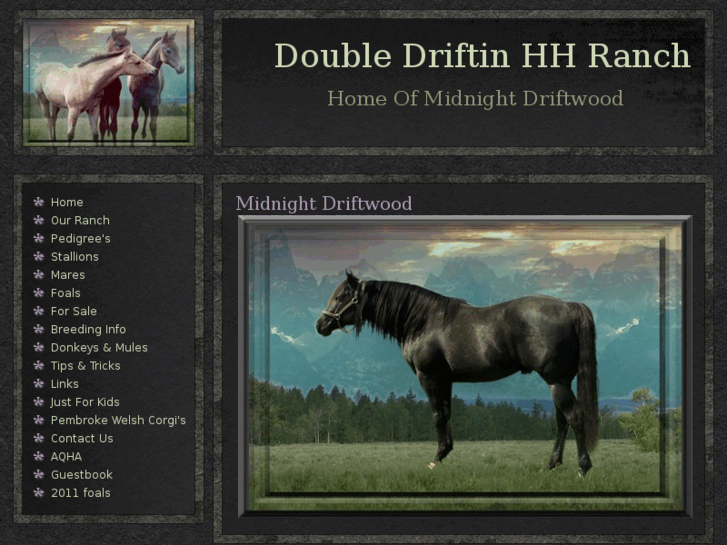 www.driftinhhranch.com