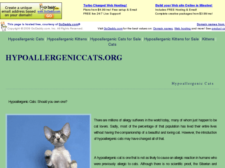 www.hypoallergeniccats.org