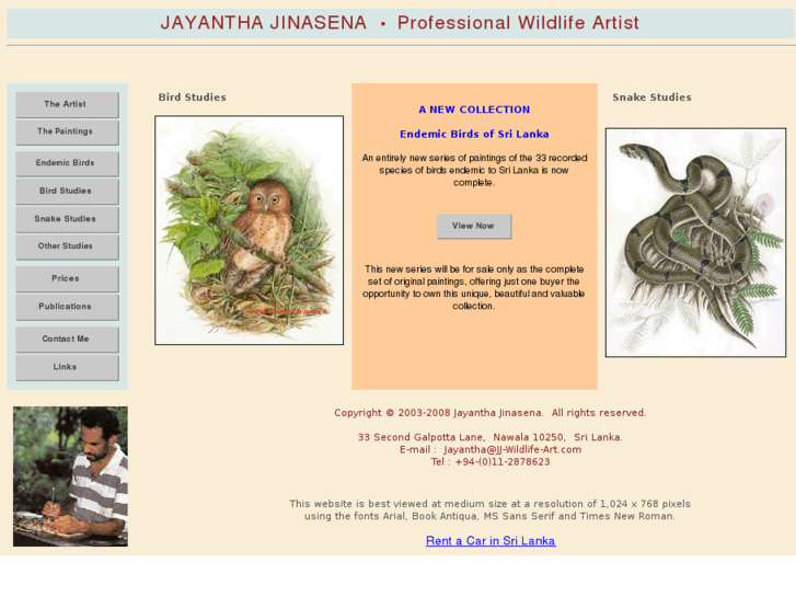 www.jj-wildlife-art.com