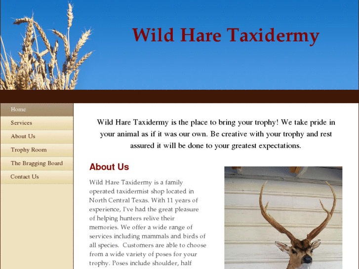 www.wildharetaxidermy.com