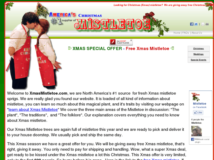 www.xmasmistletoe.com