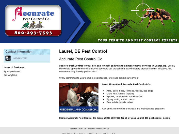 www.accuratetermiteandpestcontrol.com
